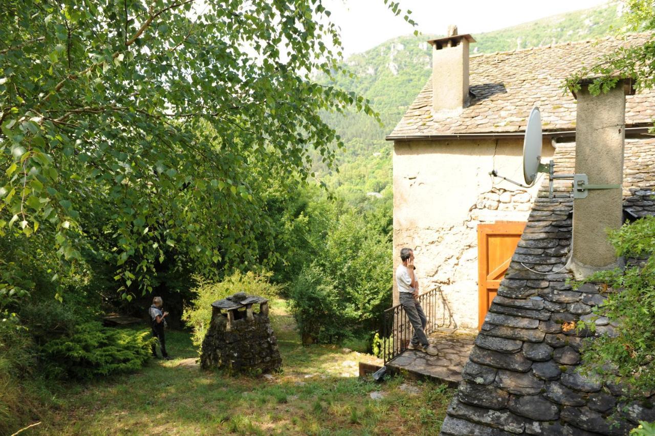 Sabatou, Le Cottage Cevenol Florac エクステリア 写真
